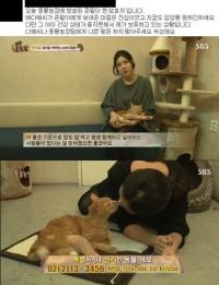 '동물농장' 배다해 거짓입양 논란, 고양이 실제 주인 하는 말이,,,'경악'