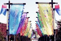 ‘이천 쌀문화축제’ 경기도 대표축제 선정