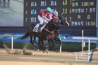 ‘마페오바르베리니’, 매직밀리언즈 스폰서 경주 우승