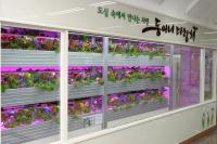 인천 동구, 도심 속 힐링 공간 다(多) 랑(with) 채(菜)