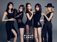 피에스타, 첫 미니 앨범 ‘블랙 라벨’ 3월 공개…“컬러풀 콘셉트 버렸다”