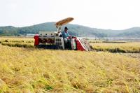 옹진군, 쌀소득보전·밭농업·조건불리지역 직불제 신청