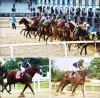 암말 2000m 대결, 경기도지사배 대상경주 미리보기