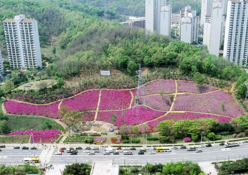 군포철쭉대축제, 국내 최대 버스킹 페스티벌 개최