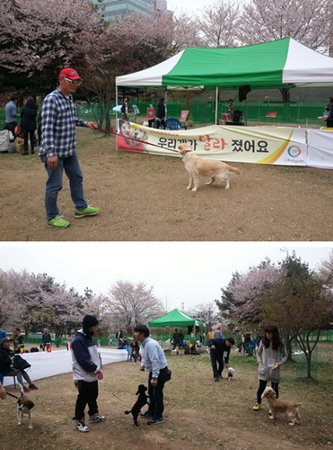 성남시, “우리개가 달라졌어요”