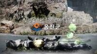 옹진군 “적극적인 홍보로 100개의 섬 알린다”