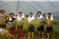 이천시 ‘임금님표 쌀’ 전국 첫 벼베기 행사 열어
