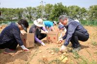 인천 남동구, 공공주말농장 공동경작지 농작물 기부