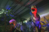 이천 ‘덕평공룡수목원’ 에 공룡이?
