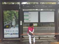 동대문구, 가로변 버스승차대에 ‘구정 홍보물’ 게시