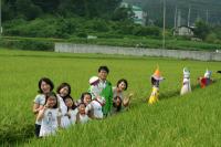 용인시 수지구, 들녘에 허수아비 설치 행사 가져