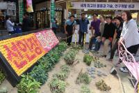 2015 선인장페스티벌 일산문화공원서 16일부터 열려