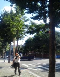서울시의회 유광상 의원,  ‘은행나무 열매 악취’   전문장비 도입으로 해결