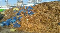 수도권매립지관리공사 “가을철 낙엽폐기물 한시적 반입 허용”