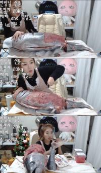 아프리카 BJ우앙, 통참치 직접 해체...'먹방의 끝은 어디인가'