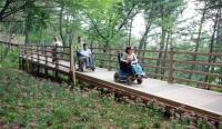 인천 남동구, 늘솔길공원 편백나무숲 다함께 나눔길 `무장애 데크길` 조성