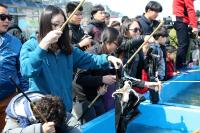 서천군 '제17회 동백꽃 주꾸미 축제' 45만 명 찾아 
