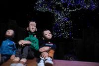 대구문예회관, 어린이인형극 '깔깔나무' 내달 4~5일 공연