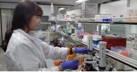 대구시 보건환경연구원, 약령시 유통 한약재 곰팡이독소 ‘안전’ 판정