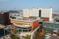 영남대병원, 올해 의료질평가서 대구·경북 지역 유일 '전 부문 1등급' 획득