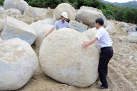 대구 달성군 비슬산에 "용(龍)알? 나타났다"…주민, '다산·번영' 길조로 반겨