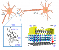 사람 뇌 따라한 저에너지 고효율 메모리 개발