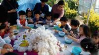 영등포구, 도심 속 목화 체험…‘문래 목화마을 축제’ 개최