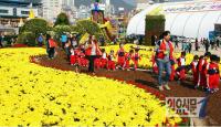 창원시, '제16회 마산가고파국화축제’서 국화향연 펼쳐