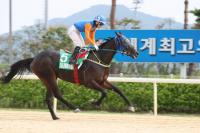  렛츠런파크 부산경남, 제11회 경남신문배 펼쳐...23일 제5경주 