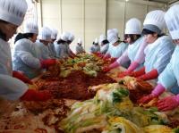 안산시새마을회, 사랑의 김장담그기 행사 가져...김장 2000포기 전달 