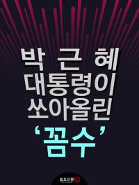 [카드뉴스] 박근혜 대통령이 쏘아 올린 '꼼수'