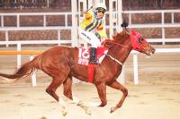 클린업조이 우승 '그랑프리대회 리플레이'