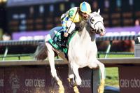 새해 눈여겨볼 씨수말 다섯