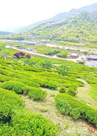 한국 대표관광지 100선에 전남 9곳 선정