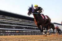 3세 유력마 분석 [1]