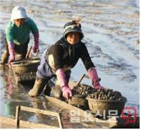 전남도, 국가중요어업유산 발굴 잰걸음 