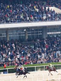 지난 경주로 본 다음 출전 관심마