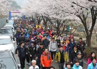 금산군, 비단고을 산꽃 건강걷기대회 개최