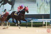 아일랜드 출신 다실바 기수, 주말 5승 맹폭...한국경마 통산 40승 달성