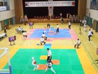 세종시 한·일 태권도 교류 대회 성료