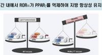 비만과 비알코올성 지방간 억제하는 새로운 기전 규명