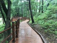대덕구, 대청호반 숲 무장애 나눔길 조성