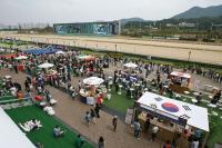 한국마사회, 코리아컵경주 전 세계 10개국 시청
