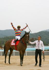 한국마사회,  국제경주 코리아스프린트 개최