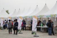 연천군, 2017년 연천 고려인삼축제 개최