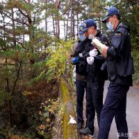 국과수, ‘어금니아빠’가 사체유기한 야산서 현장감식