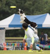 세종 반려동물 문화축제 개최