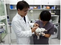 광명시, 광견병 예방접종 26일까지 실시