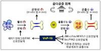 골질환 치료에 근원적인 초석 제공 