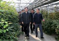 김해시, 농림축산식품부 장관 화훼생산현장 방문해 농가 격려